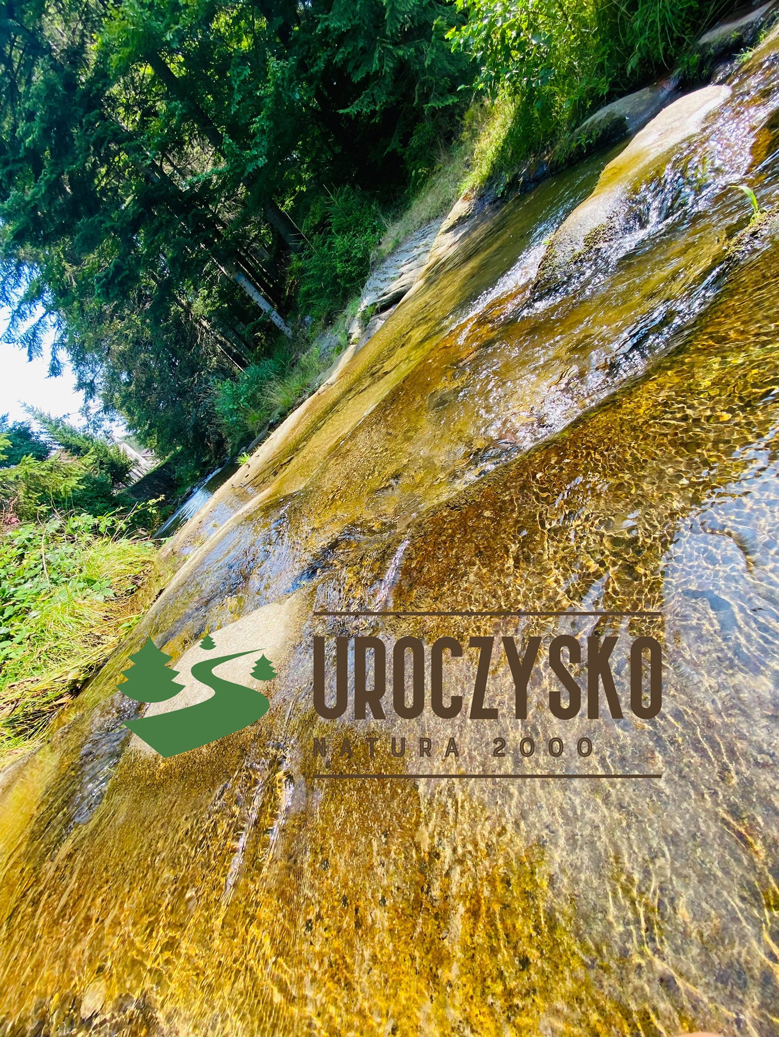 Górski strumyk w pobliżu Uroczysko